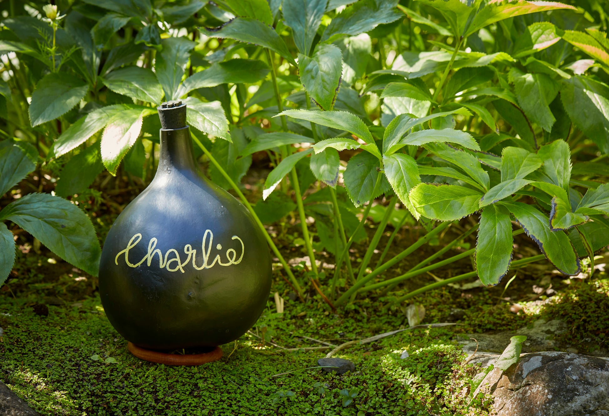 Bespoke Natural Calabash Urn